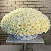 Garden of Glow With 500 White Roses