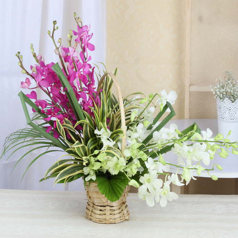 Fresh Start Blooms