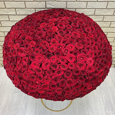 Roses and Radiance