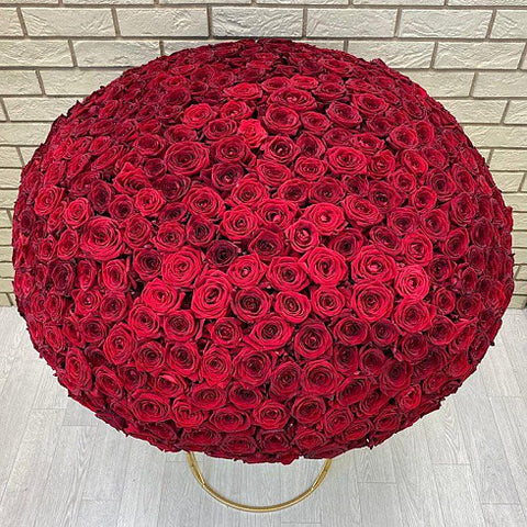 Roses and Radiance