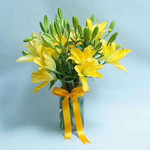New Day Bloom