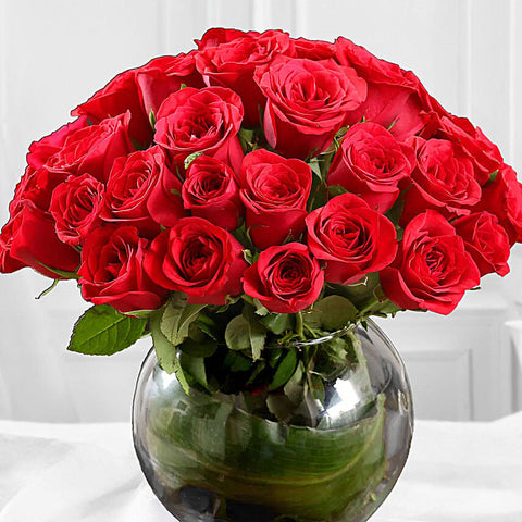 Fresh Morning Roses