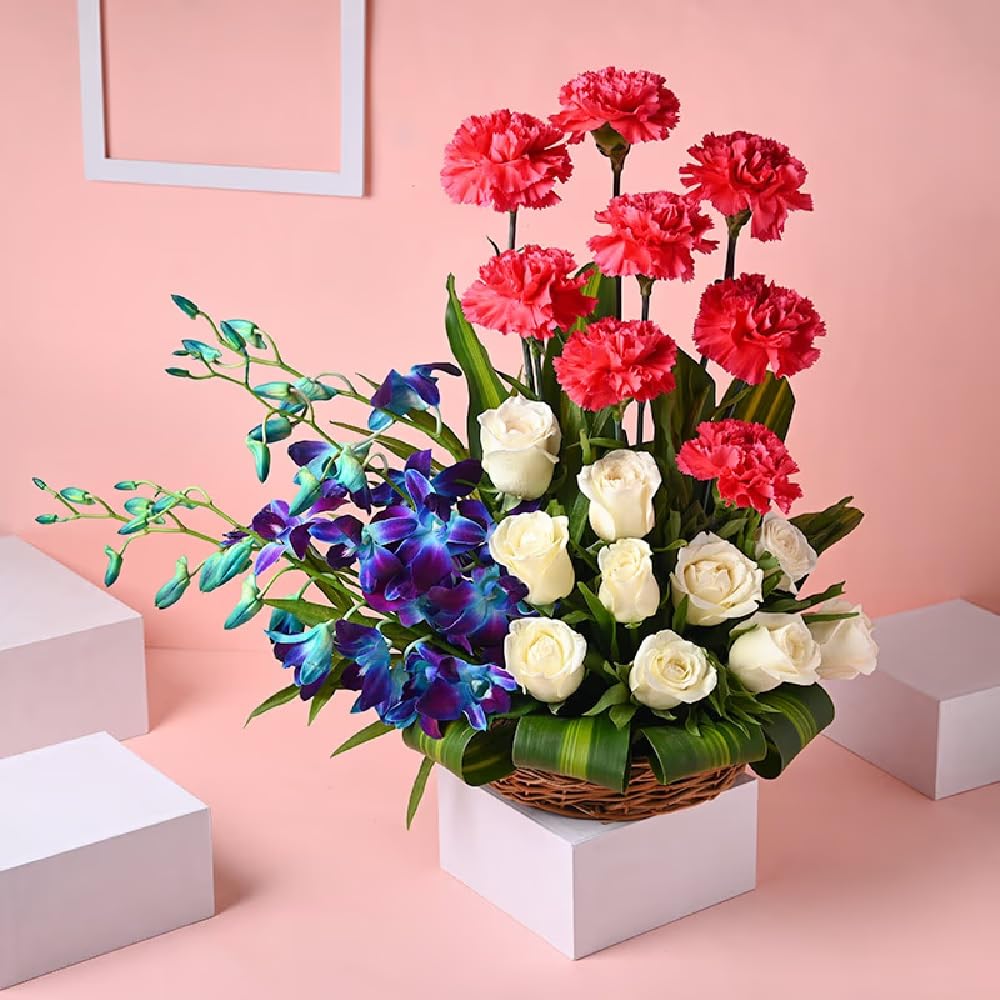 Bloom-Day Surprise