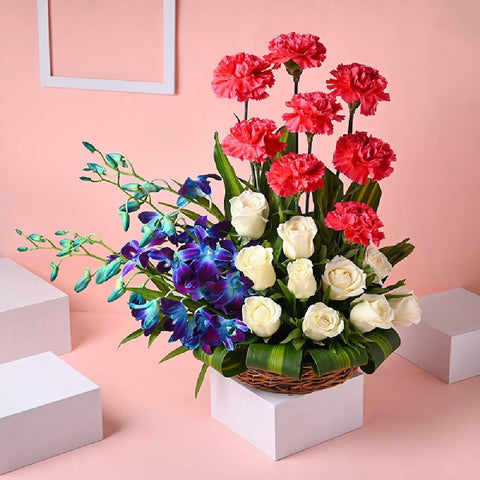 Bloom-Day Surprise