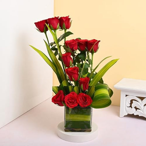 Red Roses Beauty