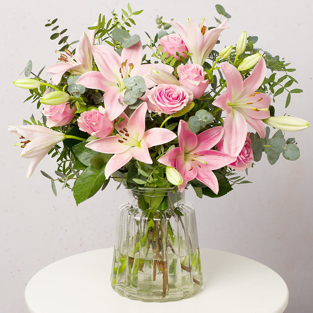 Nature Of Lily