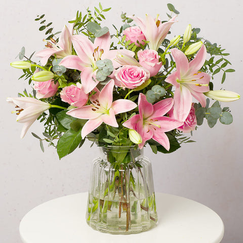 Nature Of Lily