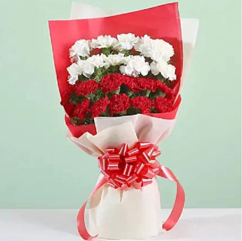 Carnation Caress