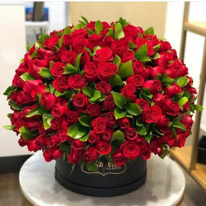 Pure Love Blooms