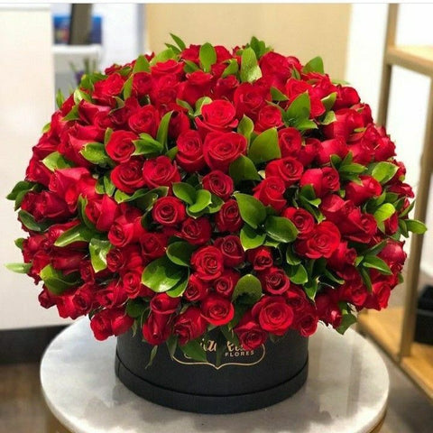 Pure Love Blooms